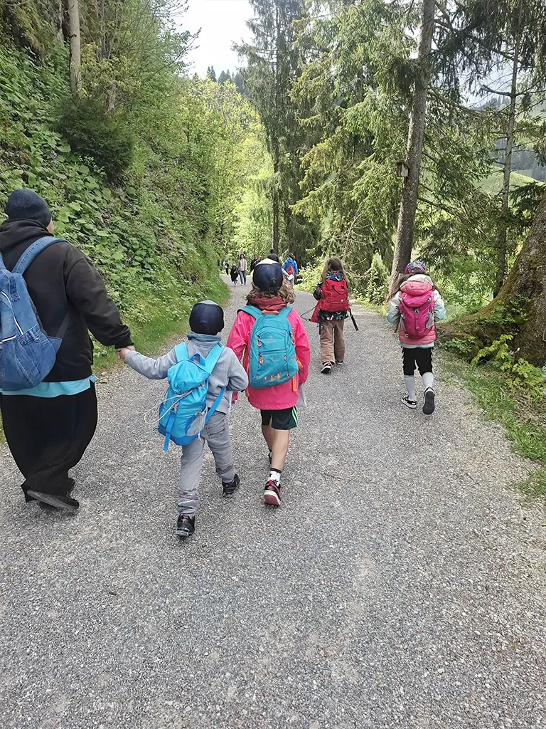 image12