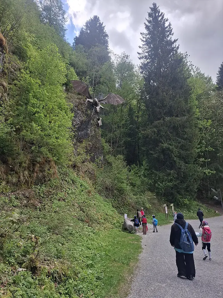 image11