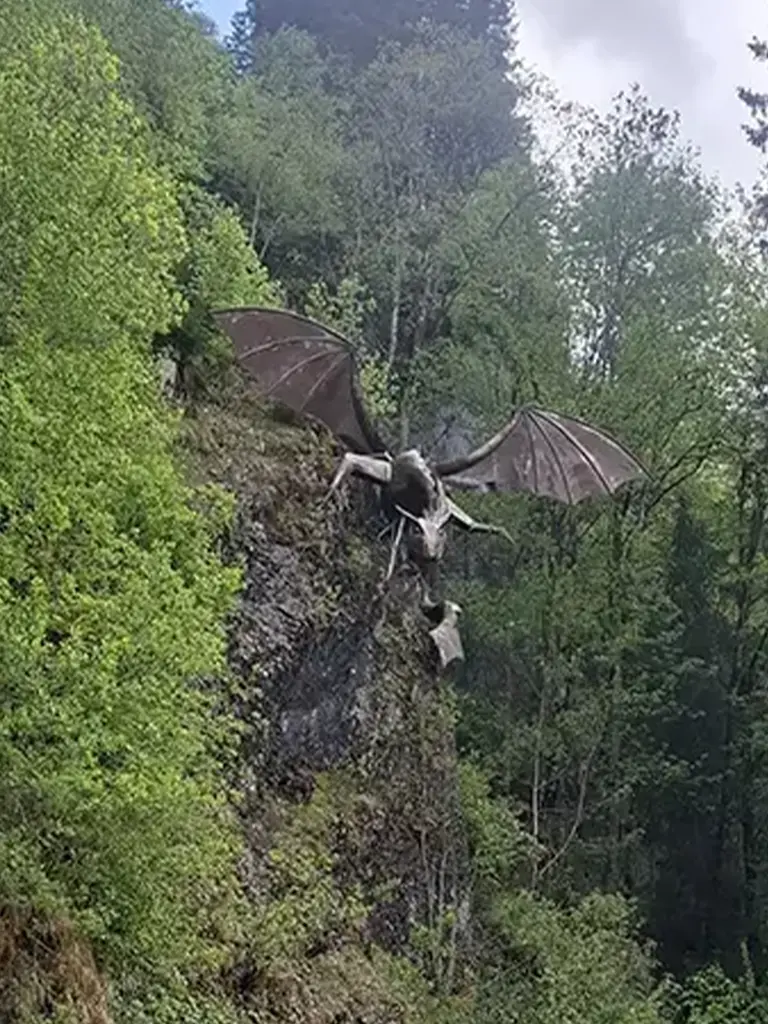 image13