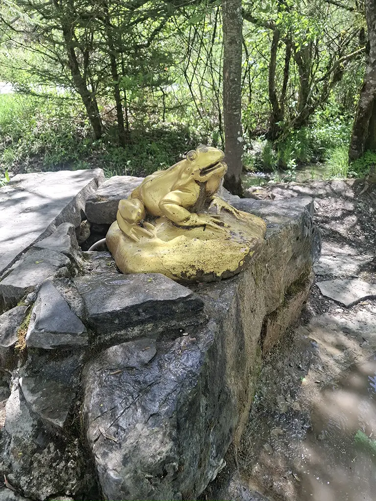 image5